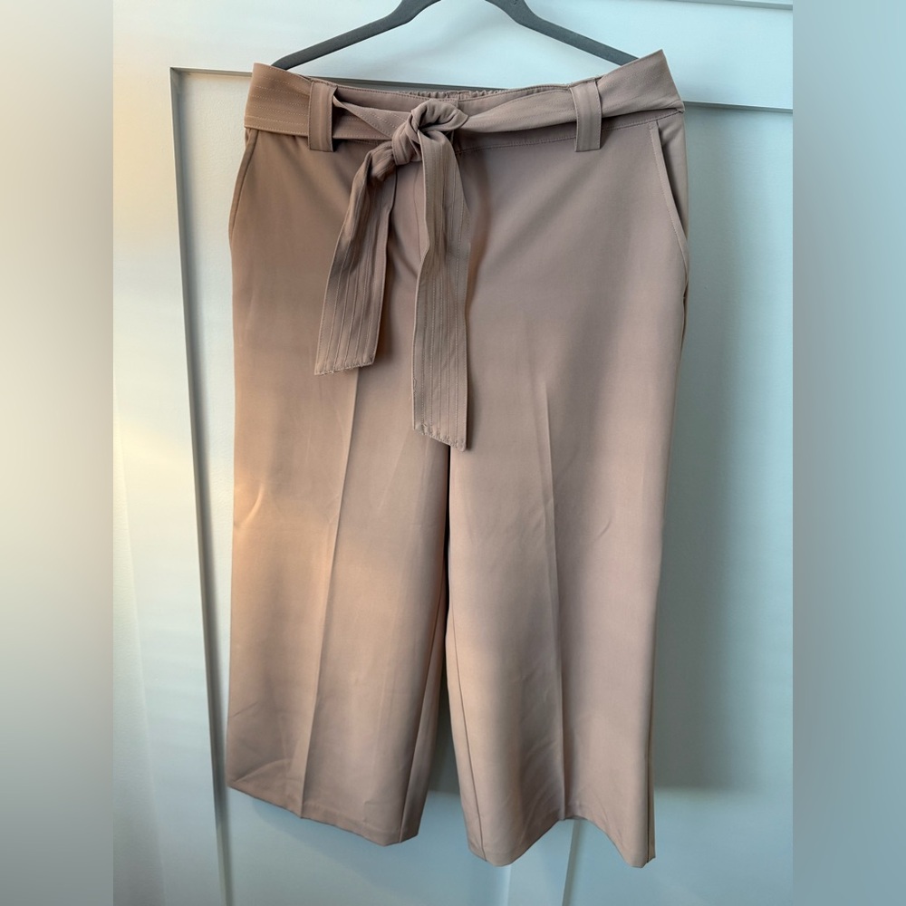 Joie Tan Wide Leg Cropped Pants with Tie Belt